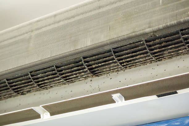 Affordable HVAC Duct Cleaning in Sheldon, IL